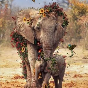 Meet your Posher, Ali